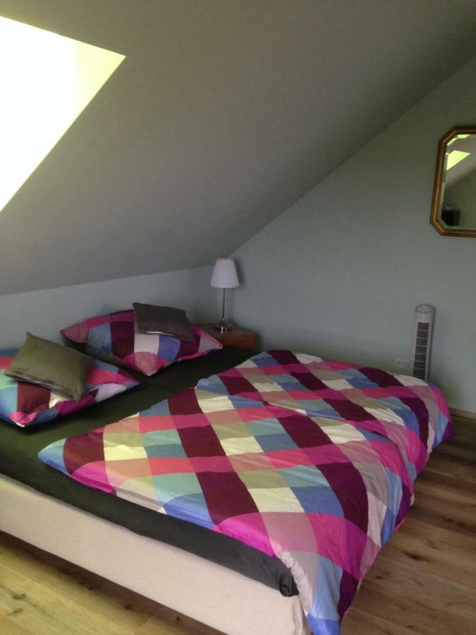 Loreley Bed And Breakfast Bornich Zewnętrze zdjęcie